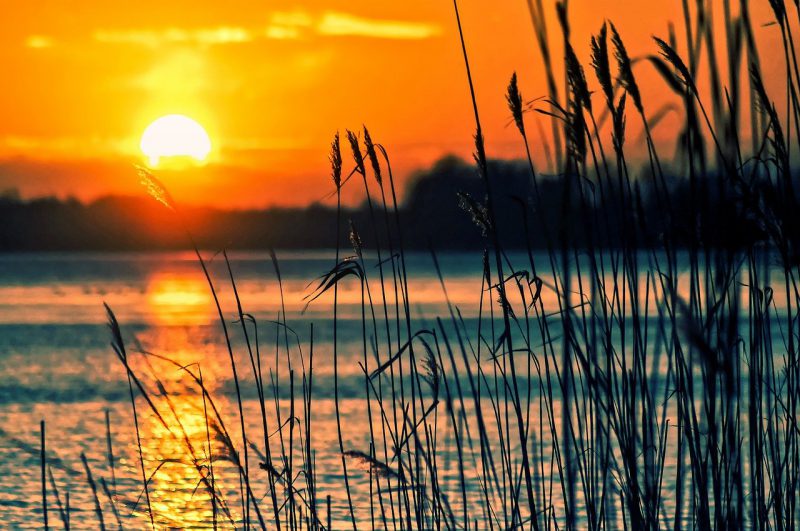 Jabłoń Lake Resort – wypoczynek w sercu Puszczy Piskiej